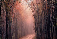 湖人七连胜 詹皇破5万分成NBA史上第一人.