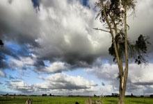 旺财28官网:肯尼亚选手打破重庆马拉松男子组赛会纪录夺冠2025-03-03.