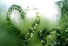 旺财28官网：利物浦欧冠客场险胜PSG 门将阿利森九扑封神.