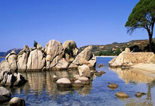 “世界拳击锦标赛将于2025年在莫斯科举办”.